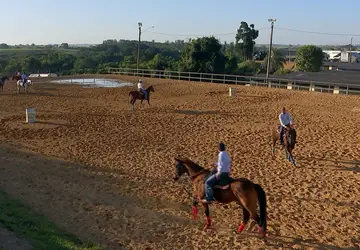 Competidores e fãs de cavalos percorrem o país para acompanhar competições 